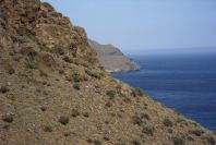 2007-04-09-041-Near-La-Isleta-Fish-Farm