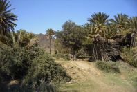 2007-04-09-043-La-Isleta-Cortijo-de-la-Loma