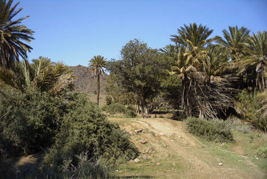 2007-04-09-043-La-Isleta-Cortijo-de-la-Loma