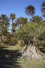 2007-04-09-044-La-Isleta-Cortijo-de-la-Loma