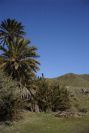 2007-04-09-045-La-Isleta-Cortijo-de-la-Loma