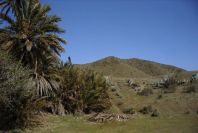 2007-04-09-046-La-Isleta-Cortijo-de-la-Loma