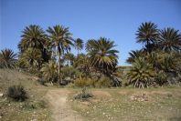 2007-04-09-047-La-Isleta-Cortijo-de-la-Loma