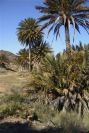 2007-04-09-048-La-Isleta-Cortijo-de-la-Loma