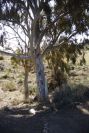 2007-04-09-050-La-Isleta-Cortijo-de-la-Loma