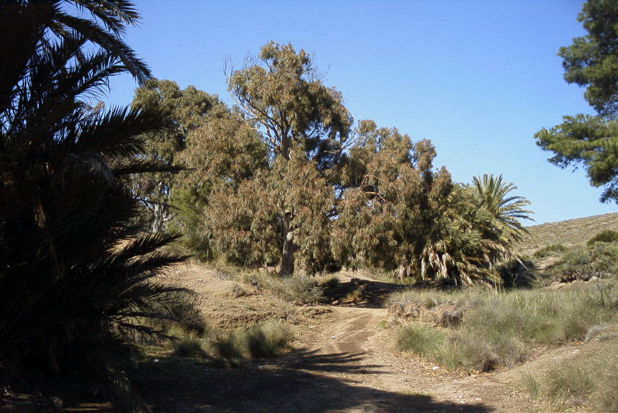 2007-04-09-051-La-Isleta-Cortijo-de-la-Loma