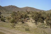 2007-04-09-054-La-Isleta-Cortijo-de-la-Loma