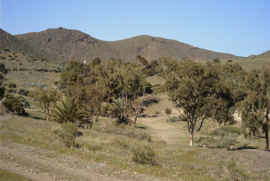 2007-04-09-054-La-Isleta-Cortijo-de-la-Loma