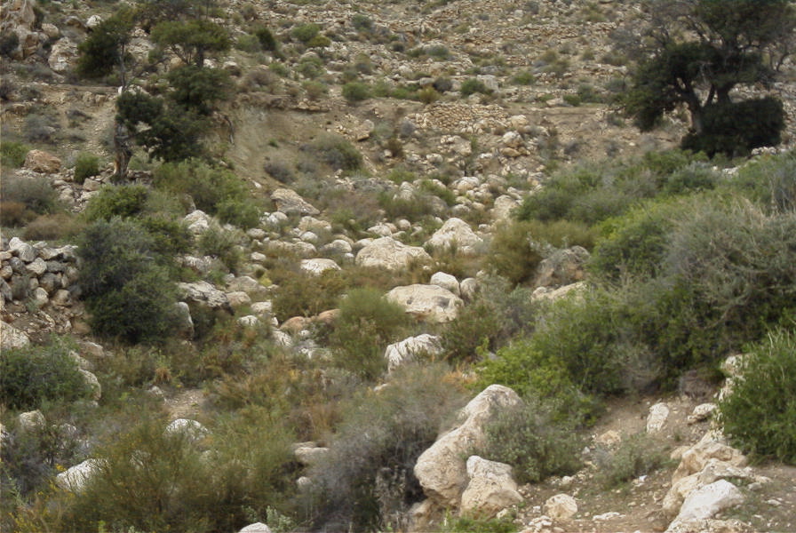 2007-04-10-034-Cala-de-San-Pedro