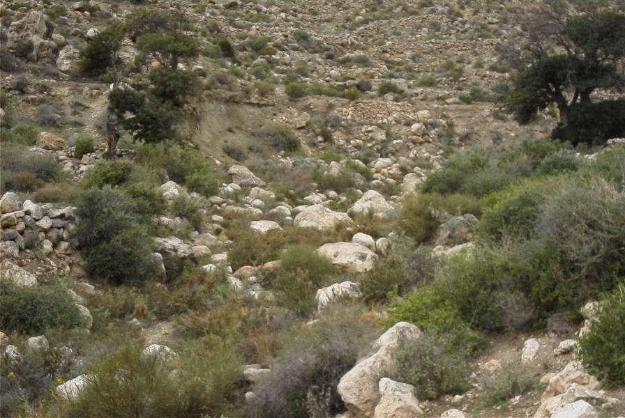 2007-04-10-035-Cala-de-San-Pedro
