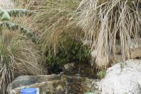 2007-04-10-037-Cala-de-San-Pedro