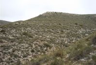 2007-04-10-048-Rellana-de-San-Pedro