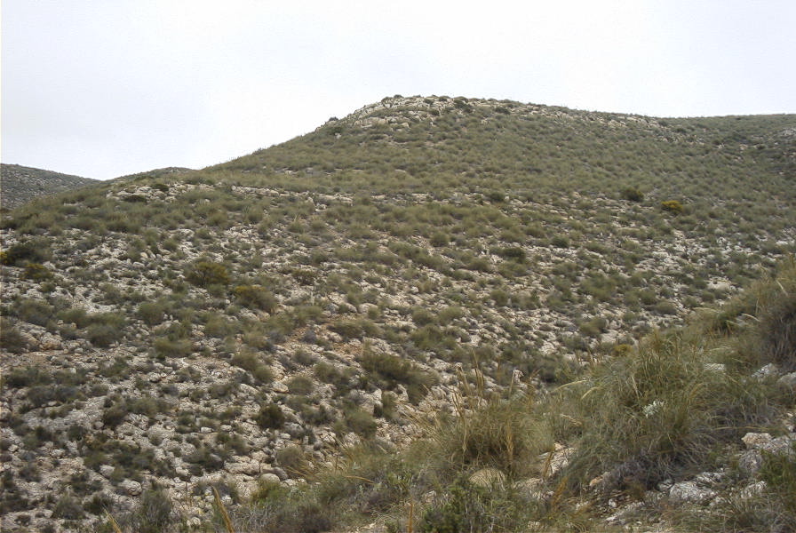 2007-04-10-048-Rellana-de-San-Pedro
