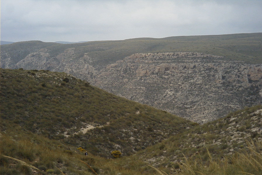 2007-04-10-051-Rellana-de-San-Pedro