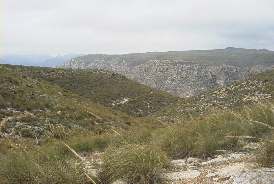 2007-04-10-052-Rellana-de-San-Pedro