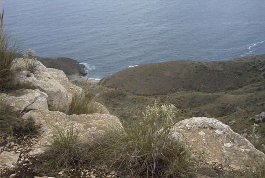 2007-04-10-054-Rellana-de-San-Pedro
