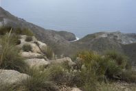 2007-04-10-055-Rellana-de-San-Pedro