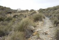 2007-04-10-068-Near-Cala-del-Plomo