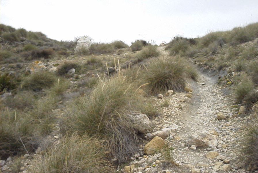 2007-04-10-068-Near-Cala-del-Plomo