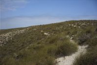 2007-04-10-082-Near-Agua-Amarga
