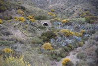 2007-04-12-011-Valley