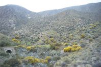 2007-04-12-014-Valley