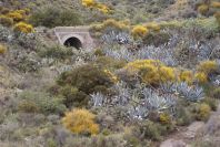 2007-04-12-015-Valley