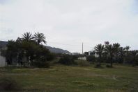 2007-04-12-061-Mojacar-Inland