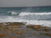 2007-12-21-003-Mediterranean