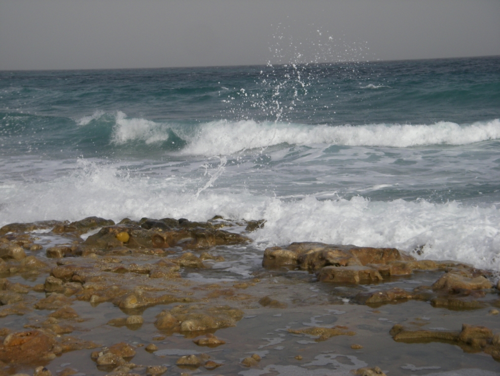 2007-12-21-003-Mediterranean