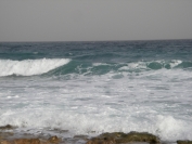 2007-12-21-005-Mediterranean