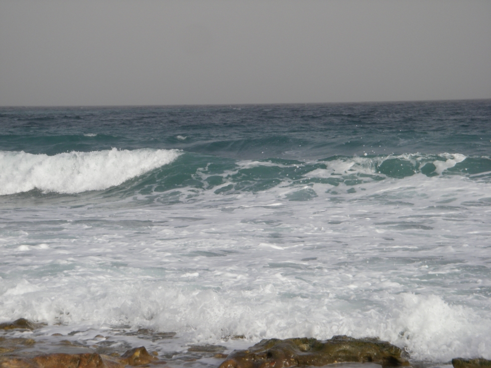 2007-12-21-005-Mediterranean
