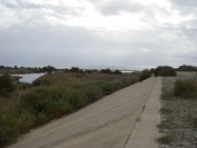 2007-12-22-005-River-bed