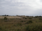 2007-12-22-006-River-bed