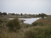 2007-12-22-007-River-bed