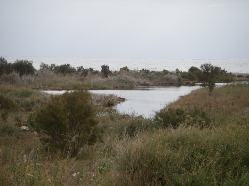 2007-12-22-007-River-bed