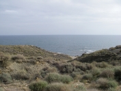 2007-12-22-024-View