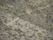 2007-12-23-014-Track
