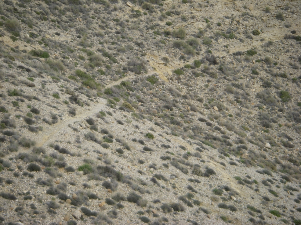2007-12-23-014-Track
