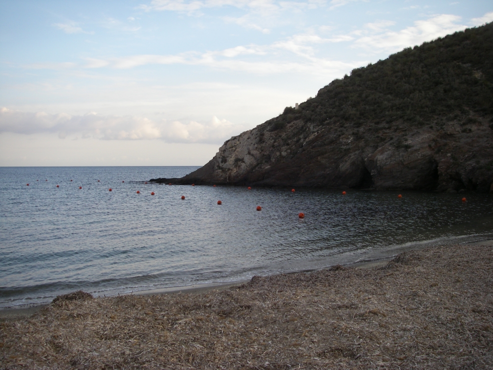 2007-12-23-030-Calabardina