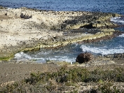 2007-12-30-002-Near-Cabo-Cope