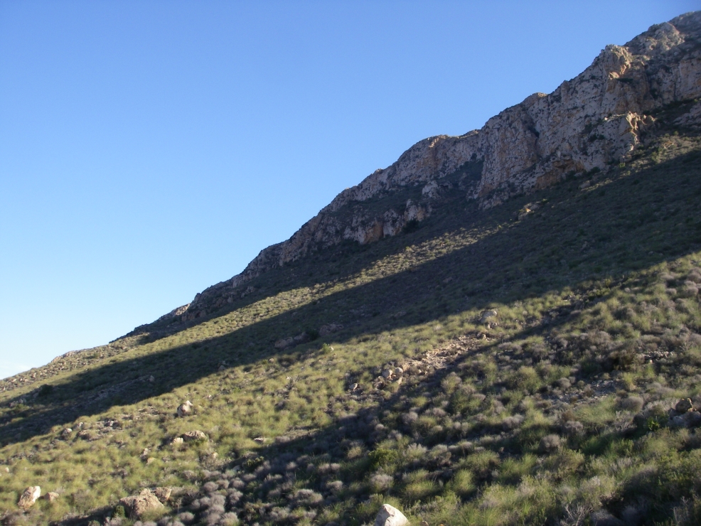 2007-12-31-018-Parque-Regional-Cabo-Cope