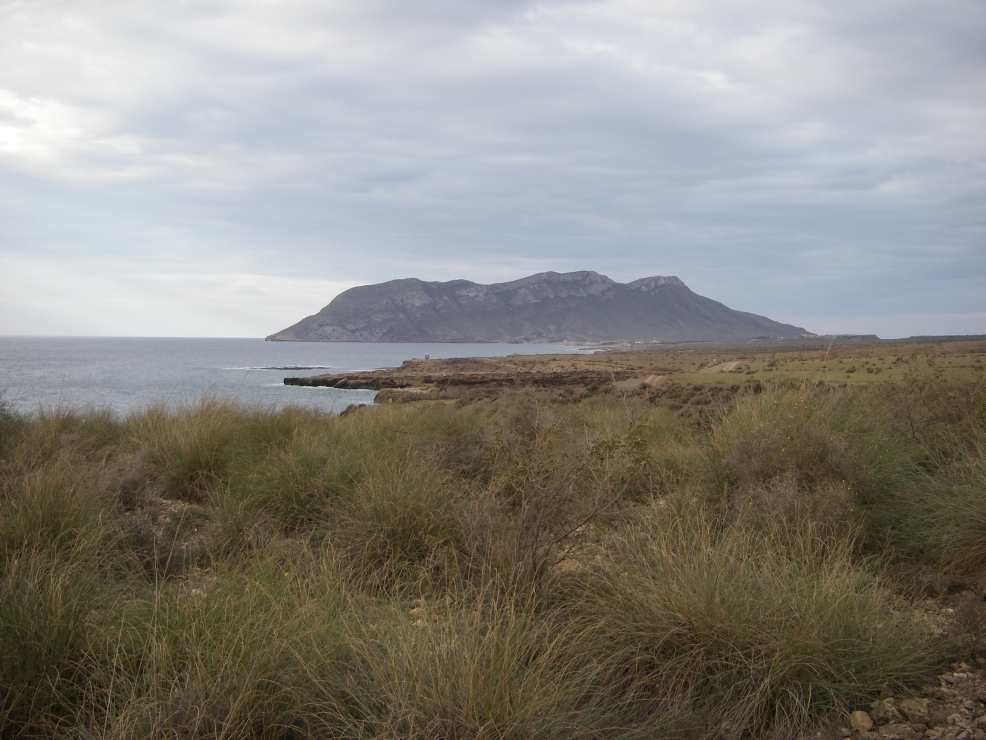 2007-12-24-009-Cabo-cope