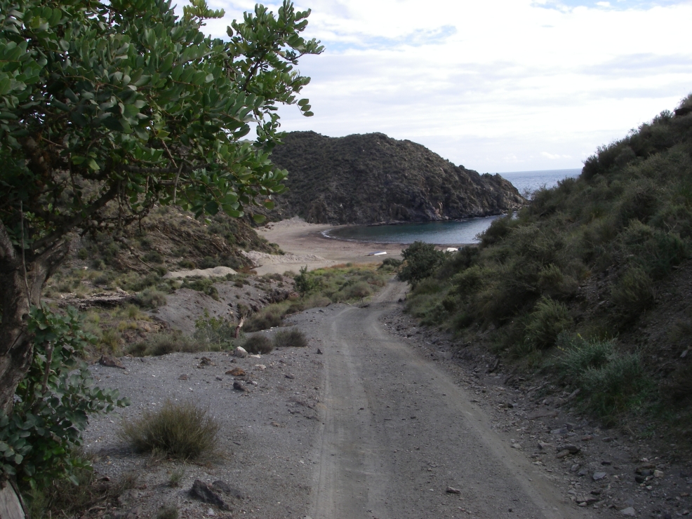 2007-12-24-023-Cove