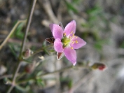 2007-12-24-027-Unknown