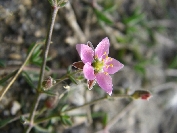 2007-12-24-028-Unknown