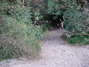 2007-12-26-006-Path