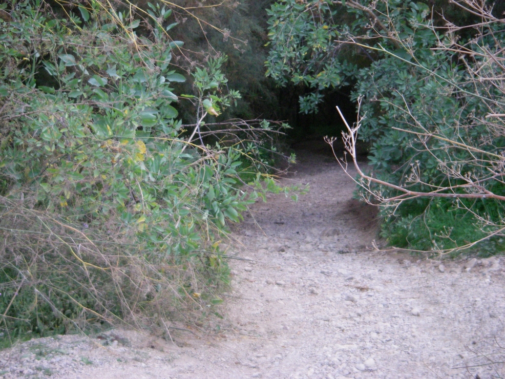 2007-12-26-006-Path
