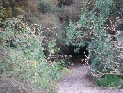 2007-12-26-007-Path