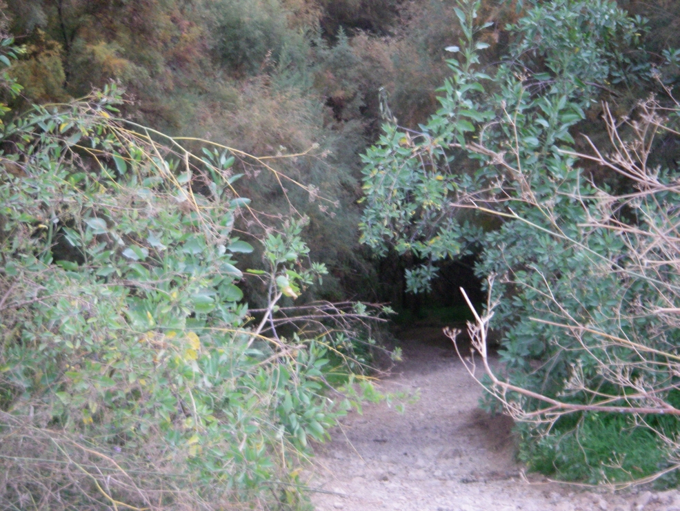 2007-12-26-007-Path